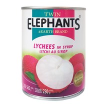 트윈엘리펀츠 태국 열대과일 리치 통조림 565g, 1캔