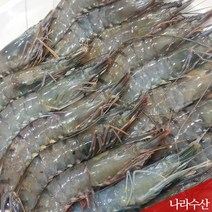 나라수산 신선한 자연산 블랙타이거새우 500g 10마리 20마리, 1set, 01.블랙타이커새우500g(20마리)