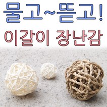 아디펫샵 리드볼 이갈이 앵무새 햄스터 다람쥐 장난감 훈련 용품, 흰색공대, 1개
