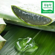 무농약 알로에 베라 3kg(혼합), 1개, 5kg