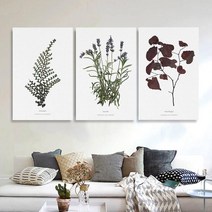 모던팩토리 북유럽 보테니컬 드로잉아트 캔버스액자 40종 정사각/직사각, 20