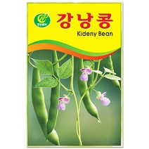 청치마 상추 씨앗 3000립 / 채소씨앗 상추씨앗 씨, 17_강낭콩(20g)