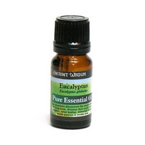 영국 무배 완제품 아로마 유기농원액 유카립투스(10ml), 유카립투스Eucalyptus
