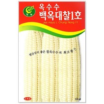 청농종묘 와송 씨앗 5000립 와송씨앗 와송씨 신탑 탑송 씨, 18_백옥대찰1호옥수수(70립)