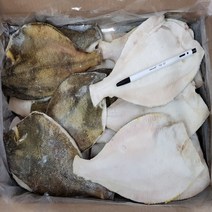 프라임 손질가자미 (냉동수산물), 1박스, 4.5KG(20-25마리)