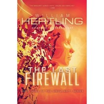 The Last Firewall Paperback, Liquididea Press