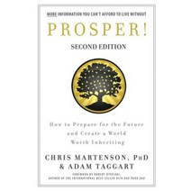 Prosper!: How to Prepare for the Future and Create a World Worth Inheriting Paperback, Wavecloud Corporation