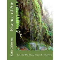 Essence of Air In Beyond the Blue Beyond the Green: Beyond the Blue Beyond the Green Paperback, Createspace
