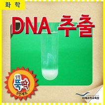 오피스안 DNA추출(10인)