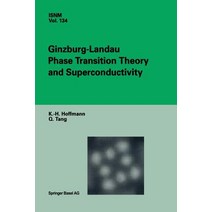 Ginzburg-Landau Phase Transition Theory and Superconductivity Paperback, Birkhauser