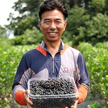 고창 아로니아 아로니아(특품) 꼭지제거 2022년수확, 1개, 10kg(2.5kgX4개)