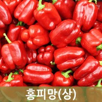 두리반농산 홍피망(상) 10kg, 1박스