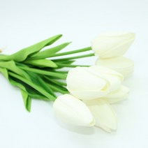 리빙스토리샵 튤립, 화이트 튤립