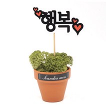 스칸디아모스 천연이끼 공기정화 메세지픽 독일토분, 행복 독일토분 모스-미디엄그린