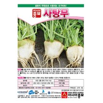 아시아종묘 무씨앗 사탕무 (100립)
