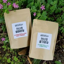 삼정농산 천년초 열매가루, 100g, 3개