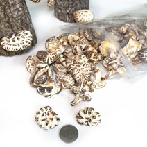 표고아빠 참나무원목재배 자연건조 국산표고버섯 산지직송, 1개, [백화고(소립)] 200g