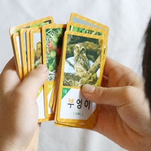 이게뭐지 옹알이 한글 낱말카드, NFC한글학습카드(동물원/20p)