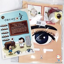 사이언스존 [꿈과-인체의 비밀-눈 (눈구조) 1인용]과학실험 과학교구 과학실험키트 STEAM 학습교구