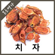본초명가 치자 치자열매 치자염색, 600g, 1개