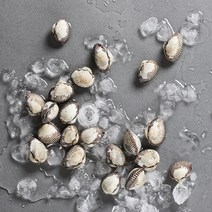 오병이어농산 벌교새꼬막, 1개, 새꼬막1kg(왕특)