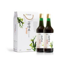 푸른친구들 내 몸의 산야초 발효액 700ml x 2병