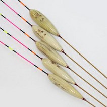 원용 뚱딴지 금란 순부력230%이상, 55cm