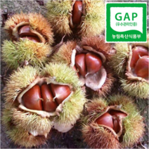 하동참다래매실농원 23년 햇밤 알밤, 1box, 2kg 대