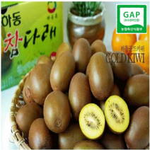 하동 참다래농원 골드키위 (소~왕특) (2kg 3kg 5kg ), 1box, 3kg (왕특) 22개~25개