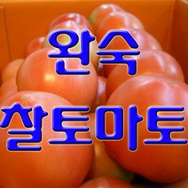 과일몰 고당도 완숙 찰 토마토 10kg 대용량, 1box, 정품 대과 10kg