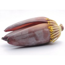 알라딘푸드 바나나꽃 Fresh Banana blossom, 1박스, 10kg