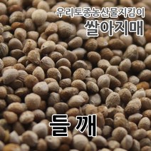 2022년산 국산 토종 햇 들깨 쌀아지매, 1개, 300g