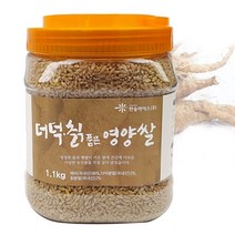 올댓리빙 기능성 컬러쌀 찰비 영양쌀 더덕칡쌀 1.1kg, 1개