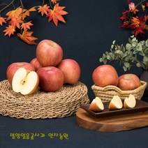 연자농원 밀양얼음골 못난이 사과(중) 10kg(34~46과), 1박스, 10kg