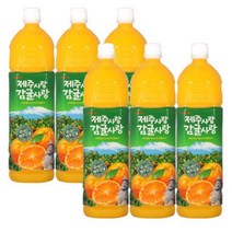롯데칠성음료 제주사랑 감귤사랑 주스, 1.5L, 12개