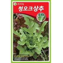 갑조네 잎줄기채소 씨앗 모음, 청오크상추(씨앗), 1개