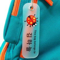 버블네임 주문제작 네임택, 47.레이디버그