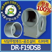 대륜산업 소형 시로코팬 DR-F19DTA 아파트 공장 지하상가 공조설비, 1개