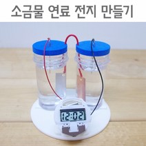 소금물 연료전지 만들기(5인용)