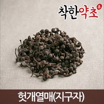 헛개열매(지구자) 100g/약초/한방재료, 1개