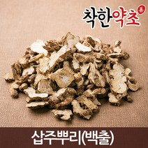 삽주뿌리(백출) 100g/약초/한방재료, 131X_수입산삽주뿌리(백출)100g, 1개