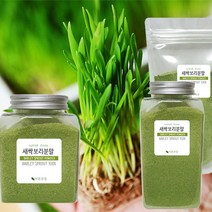 바른건강 프리미엄 농축 보리새싹추출가루 새싹보리추출분말 100% 보리순추출분말 추출물, 420g, 1개
