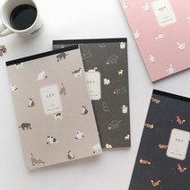 핑크풋]패드편선지 편지지/헤이/꽃길/니어, 헤이패드편지지 랜덤, 1세트