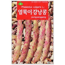 청농종묘 양상추 씨앗 200립 상추씨 상추씨앗 채소씨앗, 28_얼룩이강낭콩(70립)