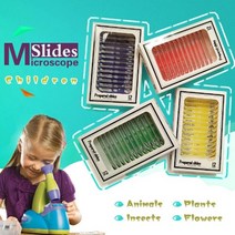 현미경 표본 12종 set - 동물 RS1