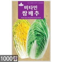 청농종묘 모듬 쌈채소 씨앗 3000립 채소씨앗 상추씨앗 적겨자 쌈채소씨앗, 02_비타민쌈배추(1000립)