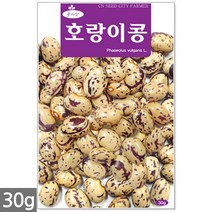 청농종묘 레드 방울토마토 씨앗 20립 방울토마토씨앗 대추토마토씨앗 방울토마토씨 대추토마토씨, 10_호랑이콩(30g)