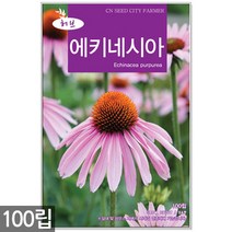 에키네시아 씨앗 100립 / 허브씨앗 에키네시아씨앗 허브씨 허브 여름꽃씨 씨, 02_허브_라벤다(150립)