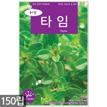 스피아민트 씨앗 2000립 / 허브씨앗 스피아민트씨앗 허브씨 허브 스피아민트씨 씨, 15_허브_타임(150립)