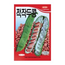 경신종묘 콩씨앗 적작두콩 10립